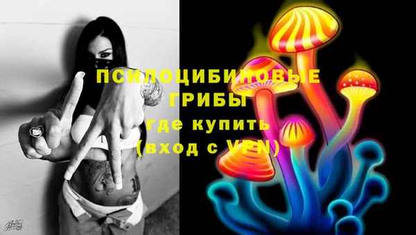 прущие грибы Бородино