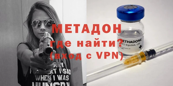прущие грибы Бородино