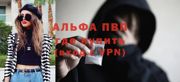 прущие грибы Бородино