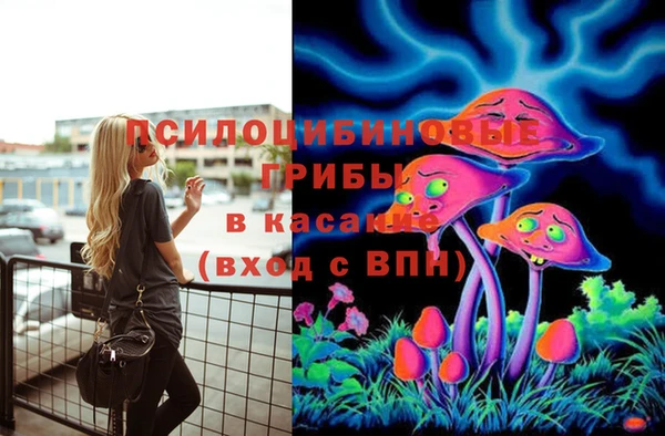прущие грибы Бородино