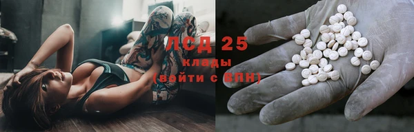 прущие грибы Бородино