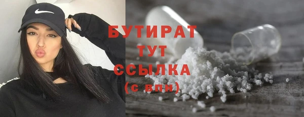 прущие грибы Бородино