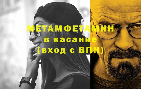 прущие грибы Бородино