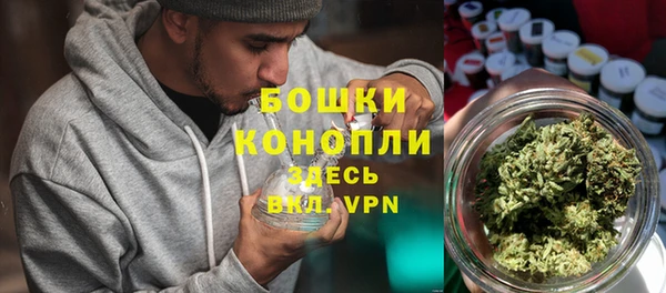 прущие грибы Бородино