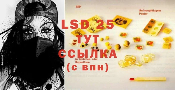 прущие грибы Бородино
