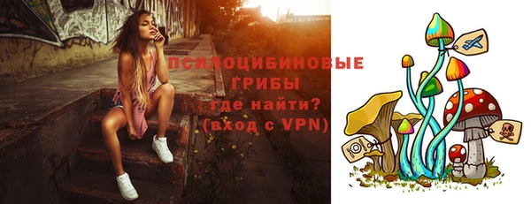 прущие грибы Бородино
