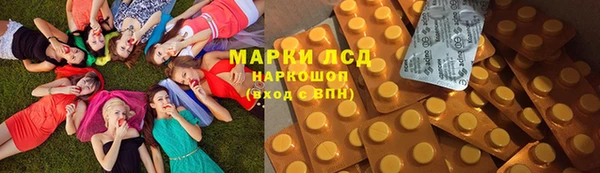 прущие грибы Бородино